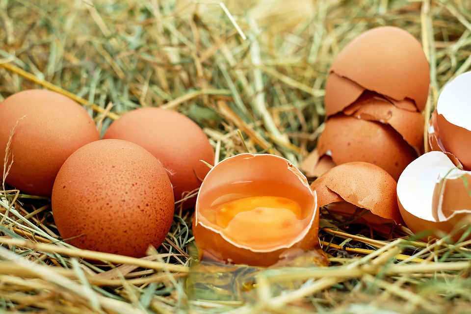 外国人が生卵を苦手として食べたがらない理由を解説。