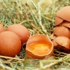 生卵とゆで卵の見分け方を簡単に解説、回す以外にも色々な方法が！